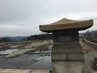 鴨川デルタの写真・動画_image_254932