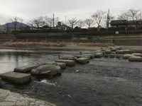 鴨川デルタの写真・動画_image_254933