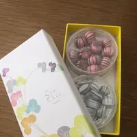 京都駅の写真・動画_image_255147