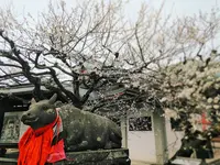 たわらやの写真・動画_image_255233