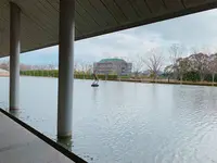佐川美術館の写真・動画_image_255243
