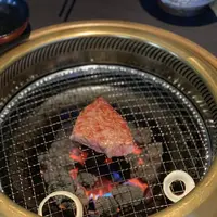 肉工房 初栄の写真・動画_image_255323