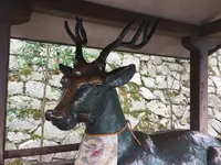 吉田神社の写真・動画_image_255370