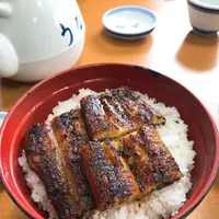 入船の写真・動画_image_255510