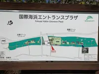 国際海浜エントランスプラザ 多目的広場の写真・動画_image_255536