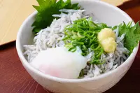 葉山の朝市の写真・動画_image_255740