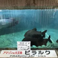 白池地獄の写真・動画_image_256015