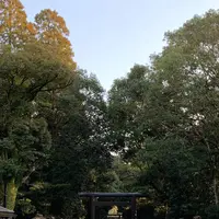 宮崎神宮の写真・動画_image_256155
