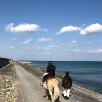 シーガイア乗馬クラブＵＭＡＩＲＵの写真・動画_image_256159