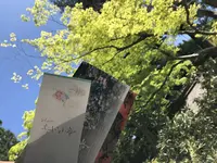 室生寺の写真・動画_image_256334