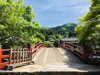 室生寺の写真・動画_image_256335
