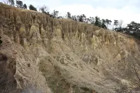 阿波の土柱の写真・動画_image_256457