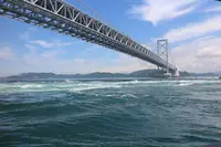うずしお観潮船の写真・動画_image_256482