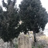 浄泉寺の写真・動画_image_256763