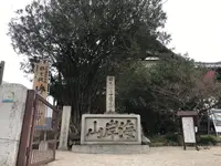 福禅寺 対潮楼の写真・動画_image_256767