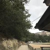 仙酔島の写真・動画_image_256786