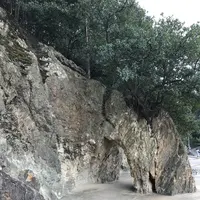 仙酔島の写真・動画_image_256790