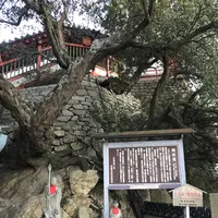 阿伏兎観音の写真・動画_image_256896