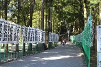 熊野本宮大社の写真・動画_image_257117