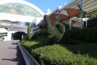 アドベンチャーワールドの写真・動画_image_257139