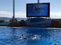 アドベンチャーワールドの写真・動画_image_257140