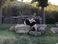 アドベンチャーワールドの写真・動画_image_257141