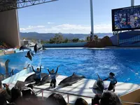 アドベンチャーワールドの写真・動画_image_257142