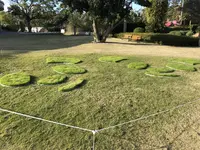 アドベンチャーワールドの写真・動画_image_257143