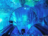 横浜・八景島シーパラダイスの写真・動画_image_257145