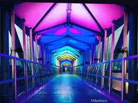 横浜・八景島シーパラダイスの写真・動画_image_257151