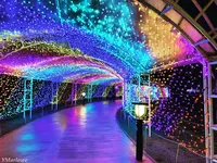 横浜・八景島シーパラダイスの写真・動画_image_257153