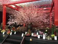 羽田空港（東京国際空港）の写真・動画_image_257240