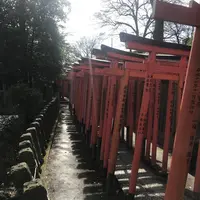 根津神社の写真・動画_image_257241