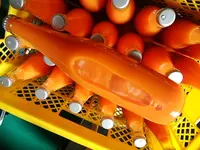 むぎわらFARMの写真・動画_image_257244