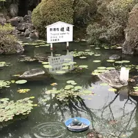 海地獄の写真・動画_image_257386