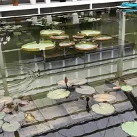 海地獄の写真・動画_image_257388