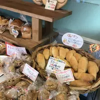 ボナールの写真・動画_image_257397