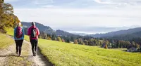 ブレゲンツの写真・動画_image_257483