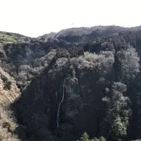九重“夢”大吊橋の写真・動画_image_257651