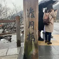 渡月橋の写真・動画_image_257808