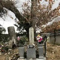 竹中半兵衛の墓の写真・動画_image_258067