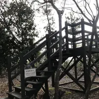 平井山ノ上付城跡(秀吉本陣跡)の写真・動画_image_258071