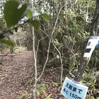平井山ノ上付城跡(秀吉本陣跡)の写真・動画_image_258073