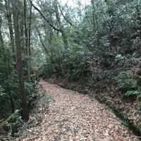 竹中半兵衛陣所跡の写真・動画_image_258080