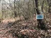 竹中半兵衛陣所跡の写真・動画_image_258084