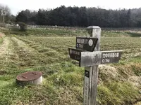 竹中半兵衛の墓の写真・動画_image_258095