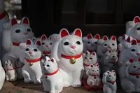 豪徳寺の写真・動画_image_258311