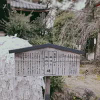 安井金比羅宮の写真・動画_image_258345