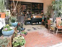 BOOMの写真・動画_image_258452