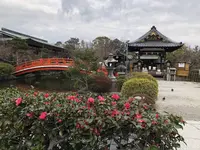 神泉苑の写真・動画_image_258459